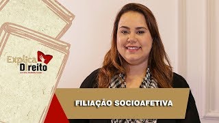 Explica Direito Filiação Socioafetiva  2019 [upl. by Aicenod432]