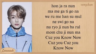 NCT U  Know Now Easy Lyrics [upl. by Ettelohcin]