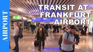 TRANSIT WALK AT FRANKFURT Airport FRA Terminal 1  Connection Flight Transfer Arriving amp Departing [upl. by Stuppy486]